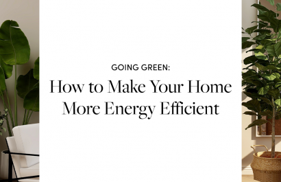 Going Green: How To Make Your Home More Energy Efficient 🔋